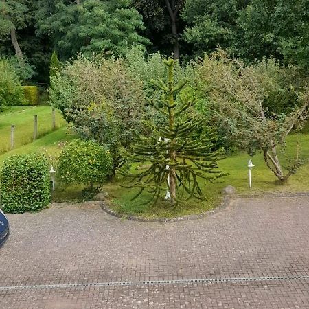 Pension Zum Park Goldberg Kültér fotó