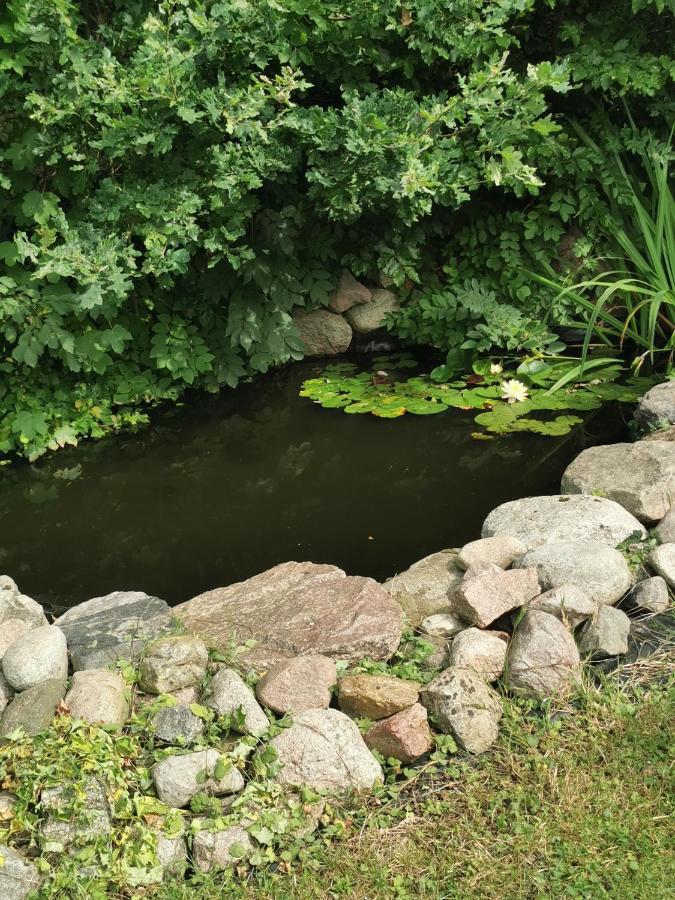 Pension Zum Park Goldberg Kültér fotó