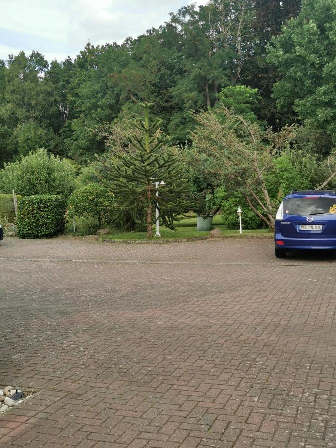 Pension Zum Park Goldberg Kültér fotó